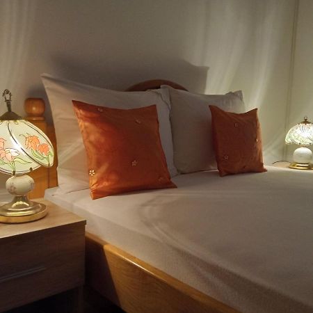 Apartman Andelina Vrnjacka Banja Bagian luar foto