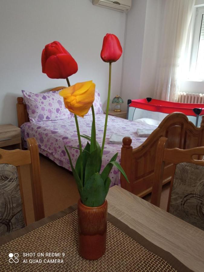 Apartman Andelina Vrnjacka Banja Bagian luar foto