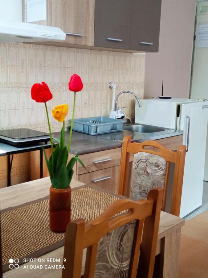Apartman Andelina Vrnjacka Banja Bagian luar foto