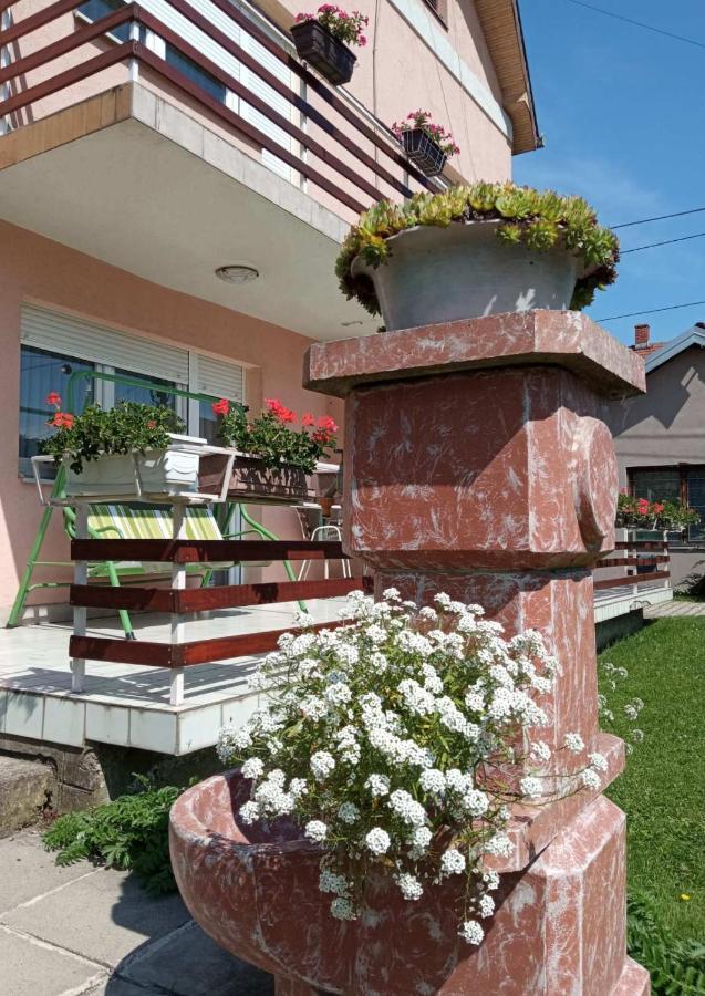 Apartman Andelina Vrnjacka Banja Bagian luar foto
