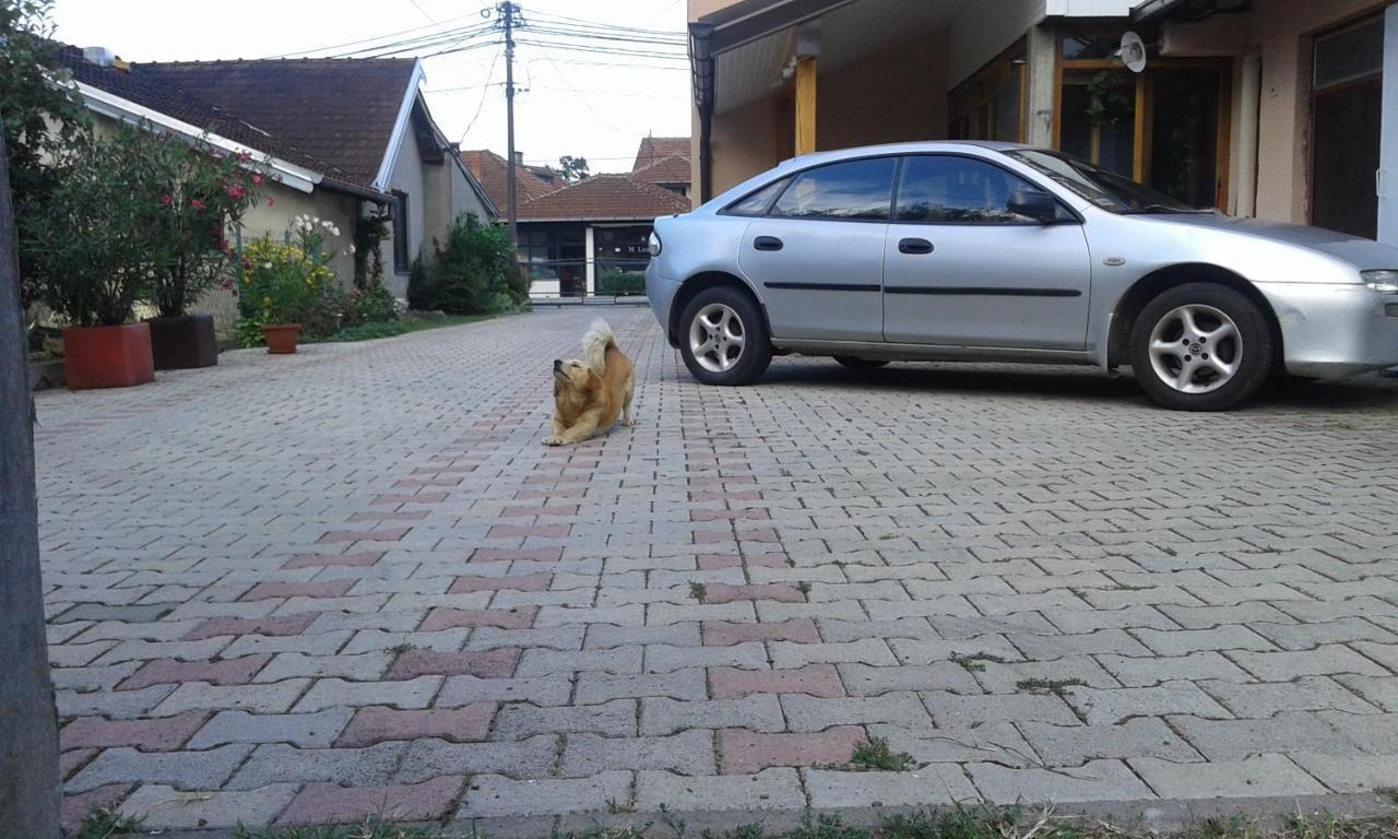 Apartman Andelina Vrnjacka Banja Bagian luar foto